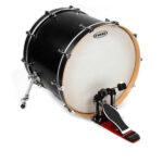 PARCHE EVANS BD24G1CW